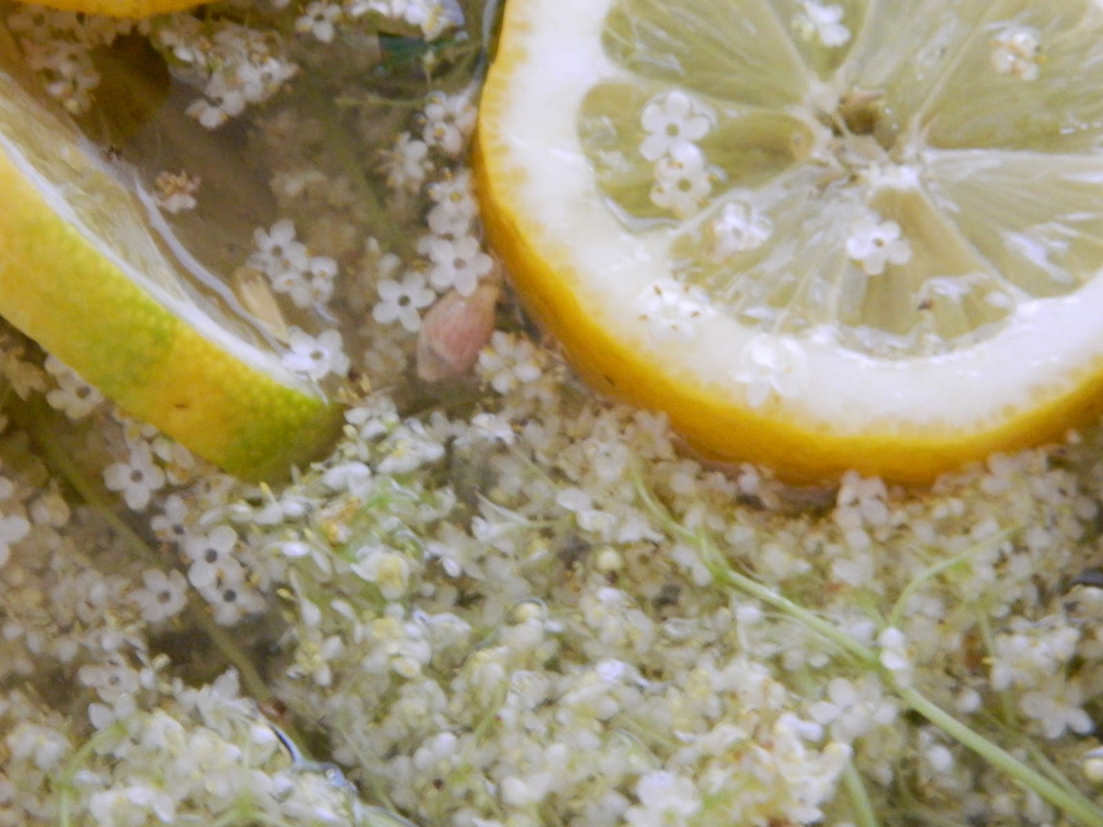 UllaSHandmade: Holunderblüten-Sirup