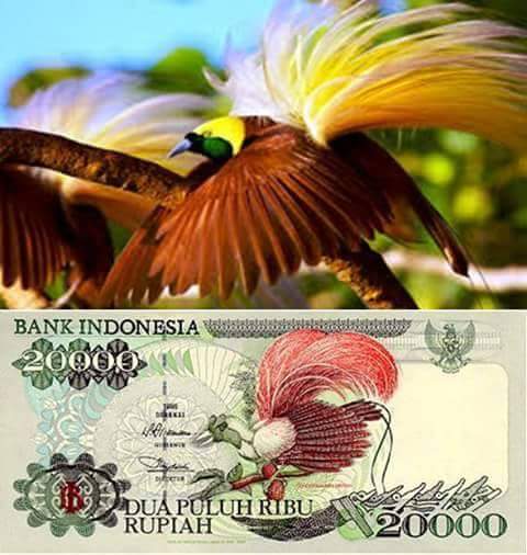 20ribu rupiah lama 20ribu rupiah lama