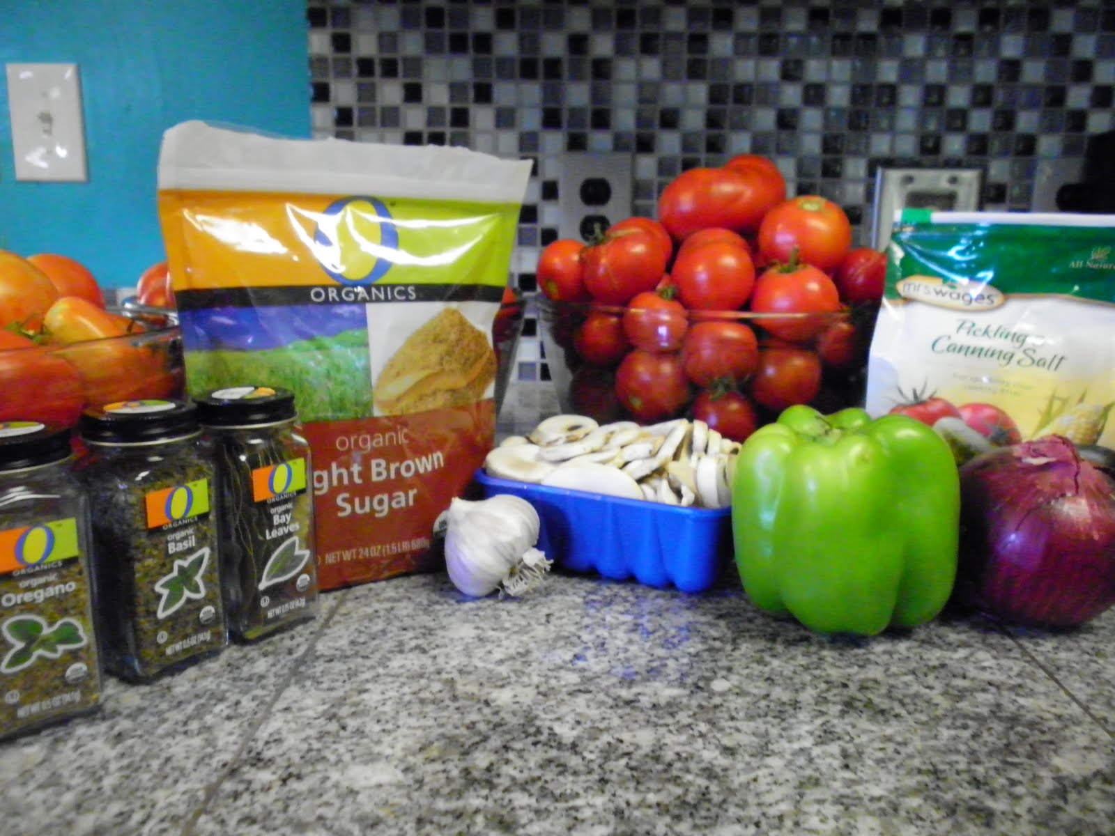 my-not-so-secret-life-as-the-canning-lady-spaghetti-sauce-no-meat