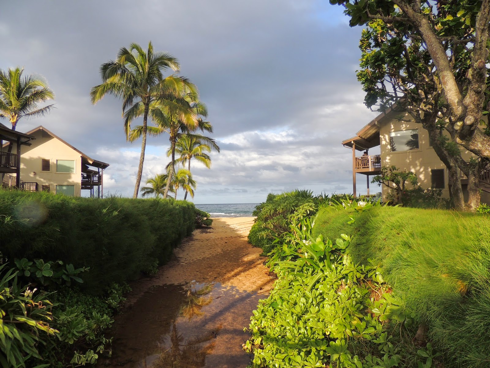 THE ROAD TAKEN Mahalo Hanalei, Kauai!
