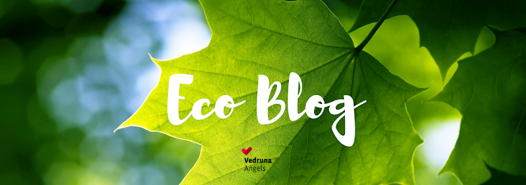 Eco Blog