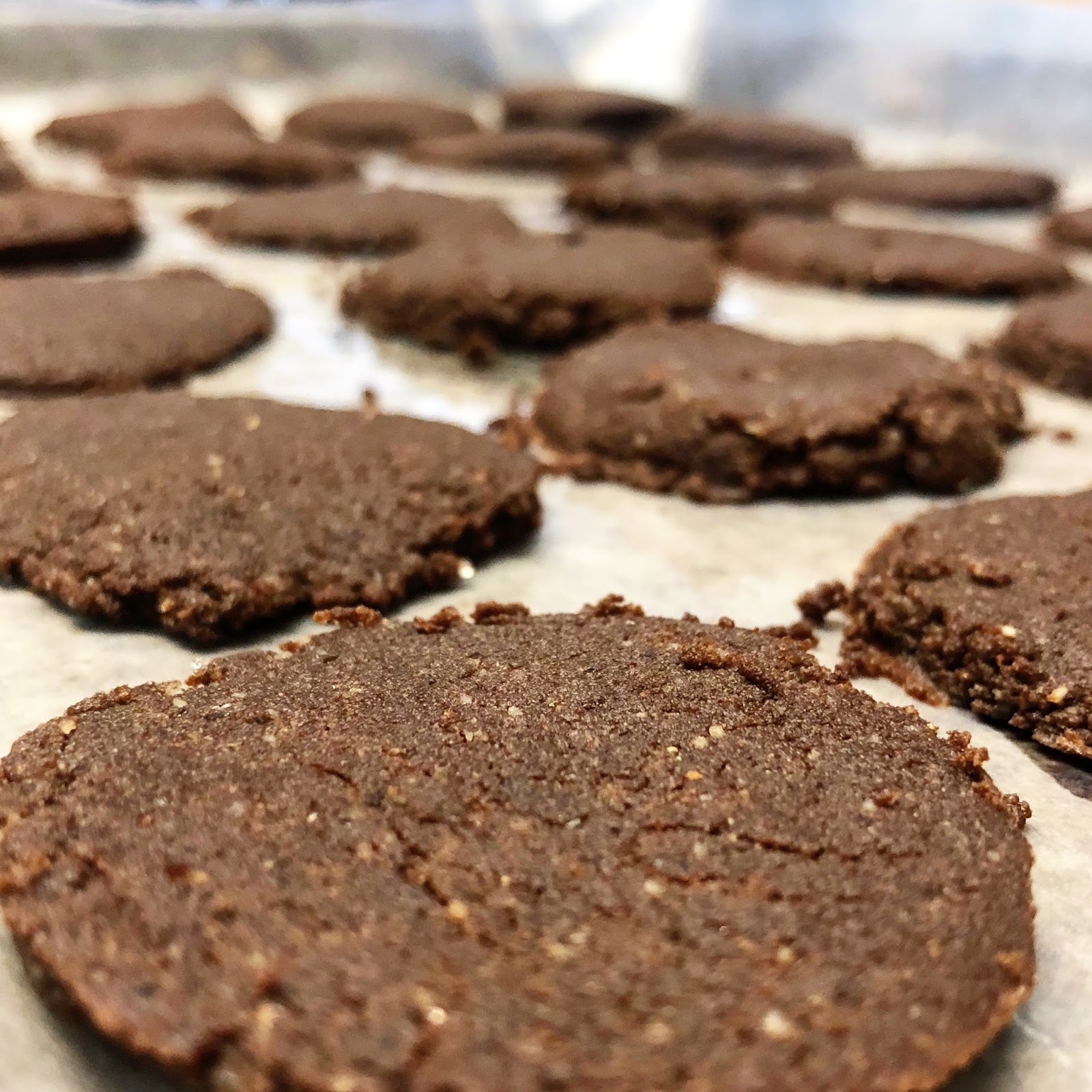 Healthy Con Gusto Protein Slim Mints