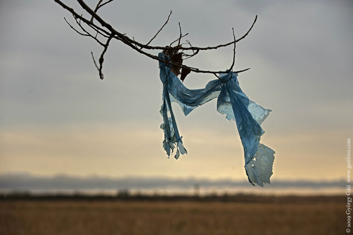 Trozo de plástico en una rama
