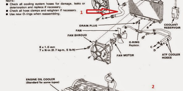 Diagram selang sistem pendingin pada accord maestro