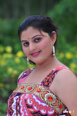 south indian mallu actress hot image gallery from malayalam film oru nunakatha