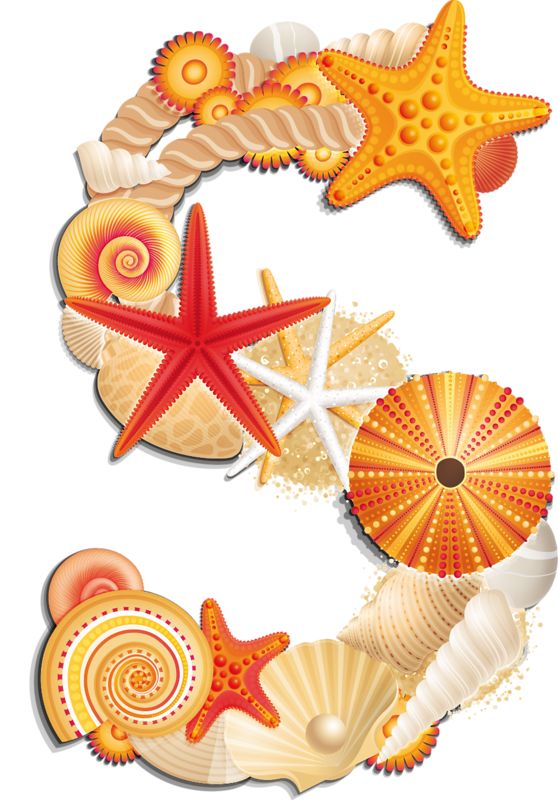What Is Sea Urchin Letters What Is Sea Urchin Letters