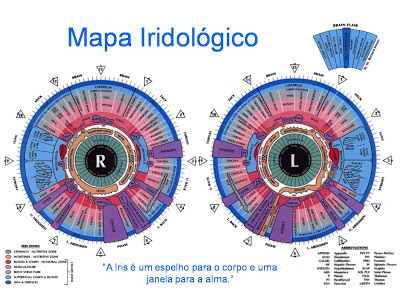 mapa iridiologia mapa iridiologia