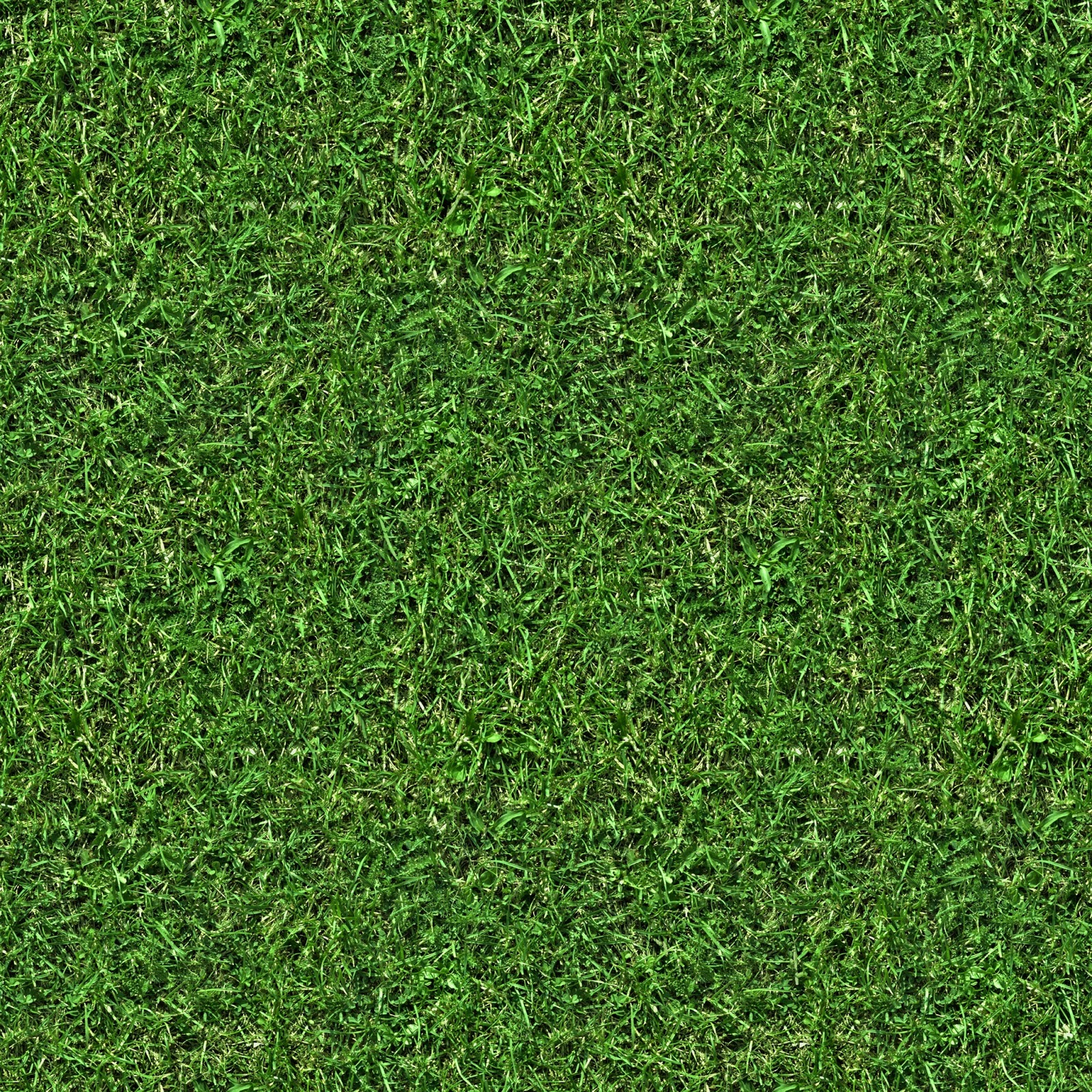 (GRASS 5) seamless turf lawn green ground field texture 2048x2048