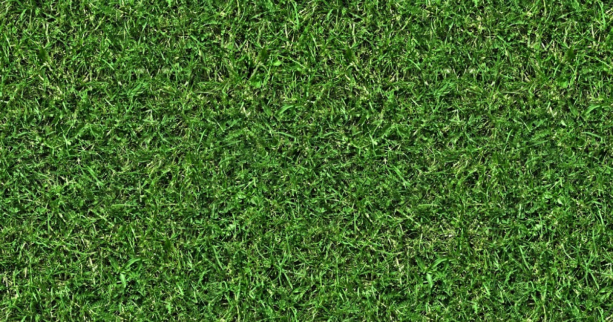 High Resolution Textures Grass 5 Seamless Turf Lawn Green Ground 