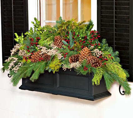 Calling it Home: Winter Window Boxes