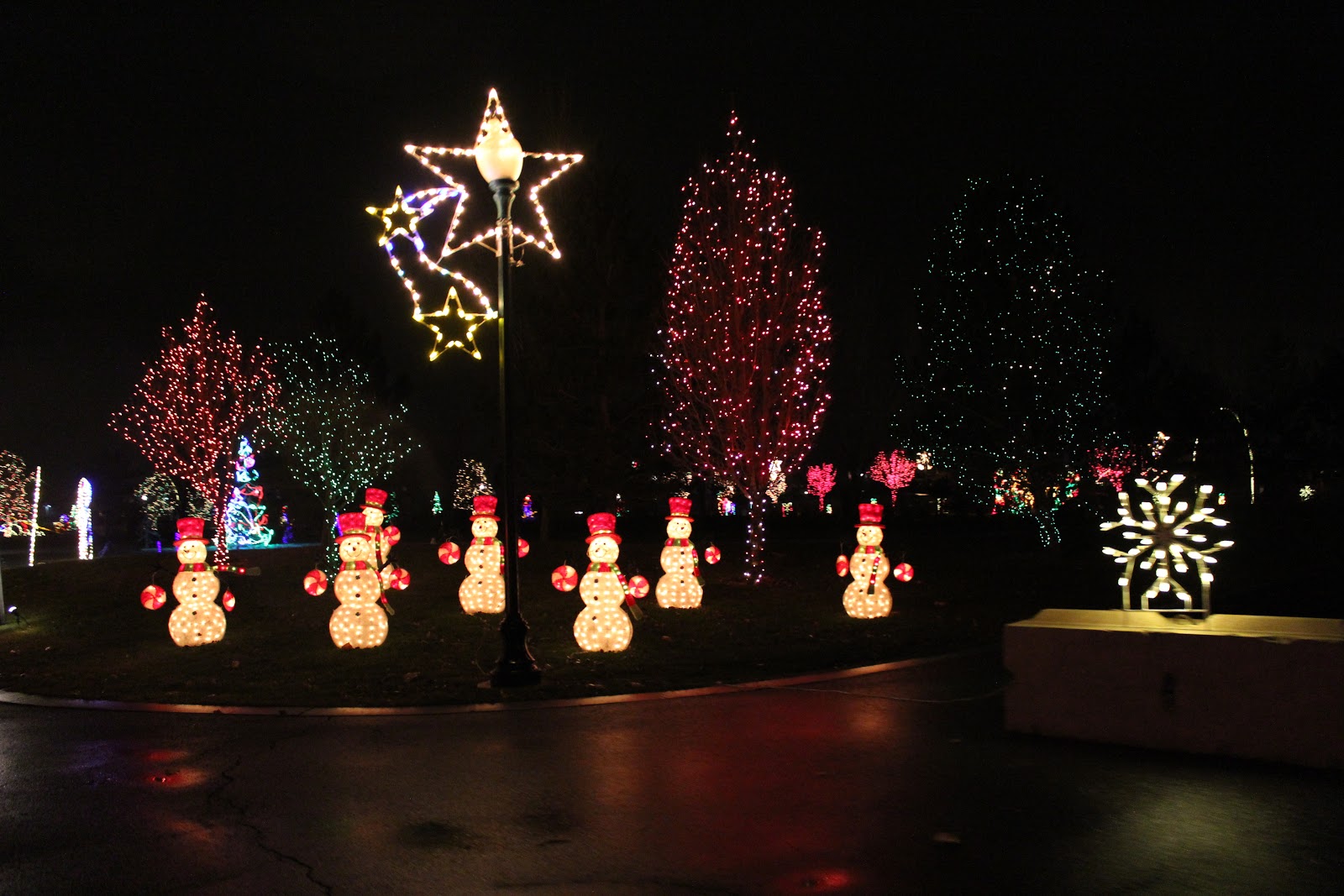 Jen's Updates Holiday Lights at Thanksgiving Point