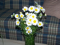My Favorite Flower - Daisies