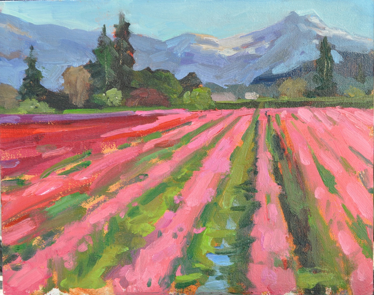 EMILIYA LANE ART: Skagit Valley Colors