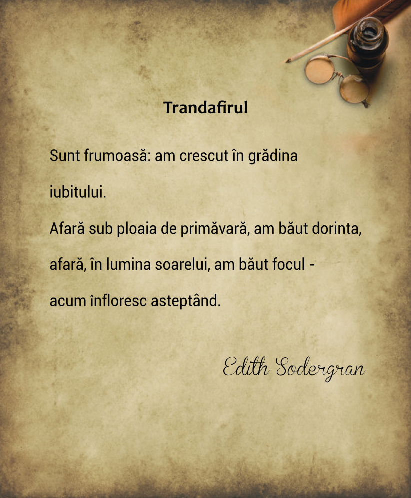 Different Vision Tu Stii Ca Esti Frumoasa