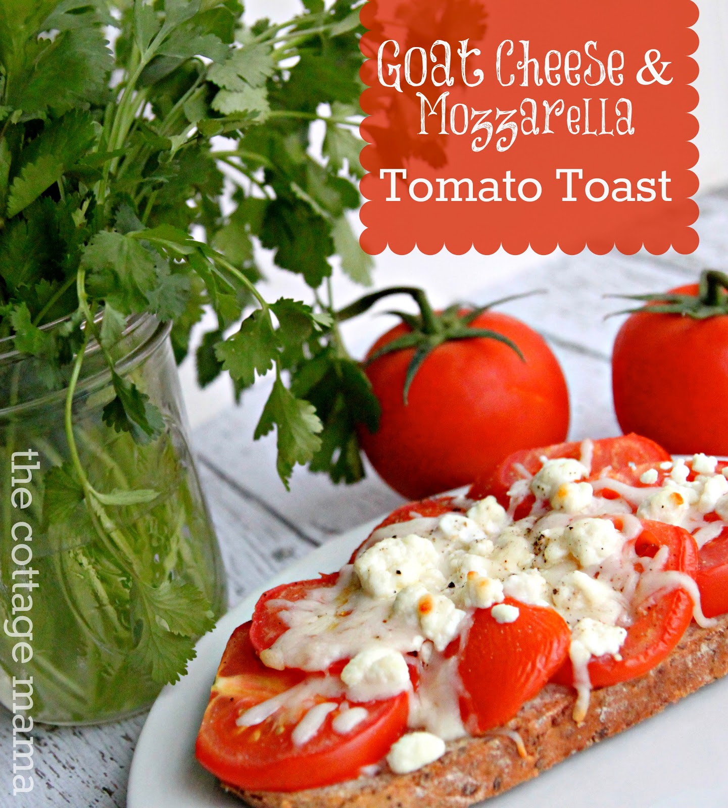 Goat Cheese & Mozzarella Tomato Toast Recipe The Cottage Mama