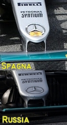 In alto la foto AMUS del nuovo muso