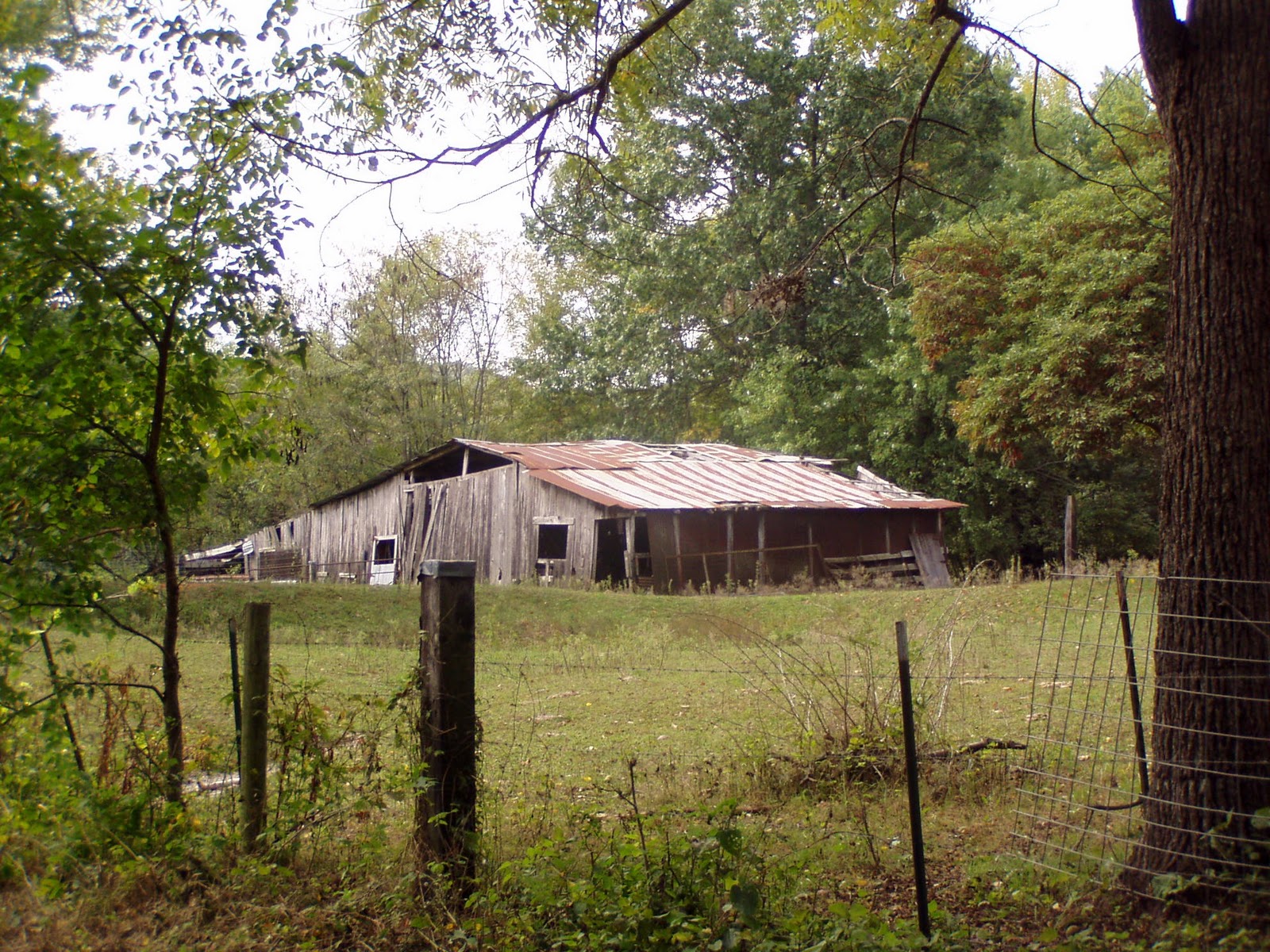 Ozark Mountain Family Homestead Secret Places in the Ozark Mountains