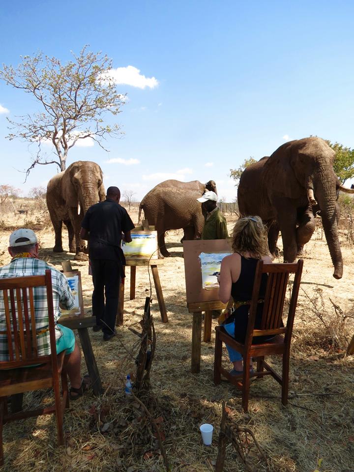 Victoria Falls Guide Blog A Magical New Experience at The Wallow