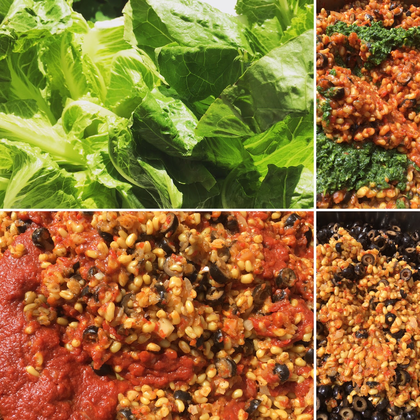 Avanti Cafe Musings Mediterranean KAMUT at Natural Products Expo West