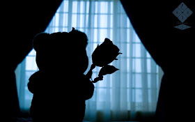 صور دباديب جميلة خلفيات HD