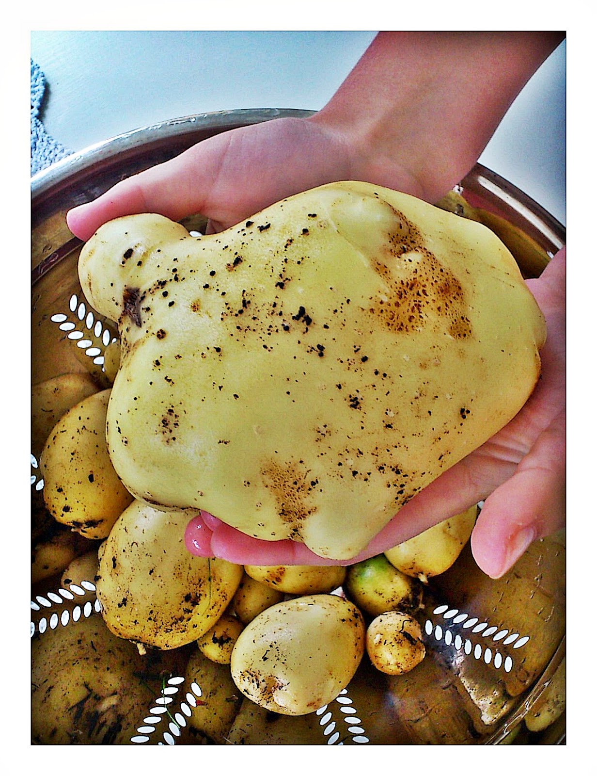 Ljusa drömmar på landet Här glider kingen in...