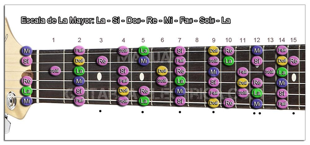 Escala de Guitarra en todo el Mástil (Mayor)