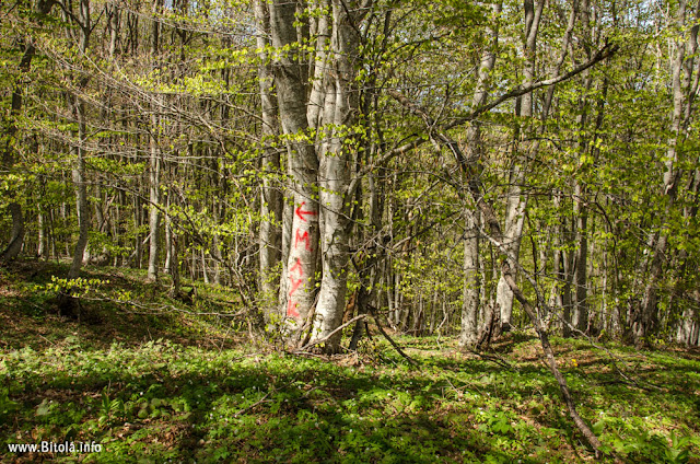 Neolica Hiking Trail, Bitola, Macedonia