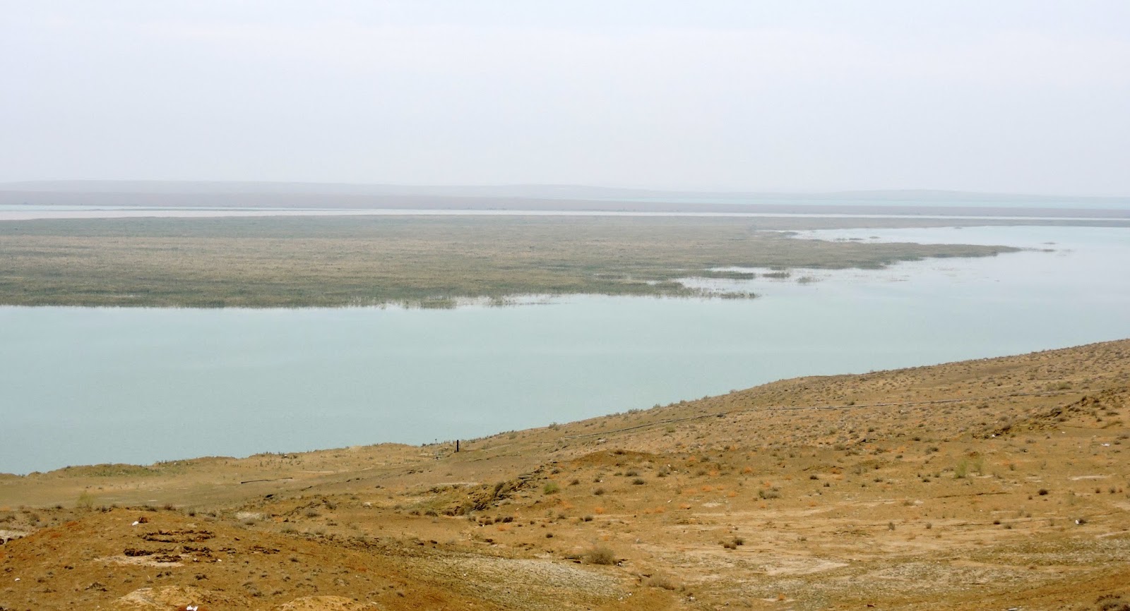 VIZCAYADO SIR DARIA Y AMU DARIA