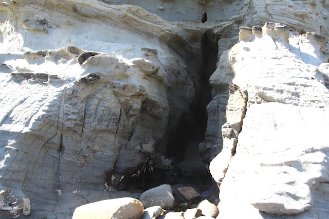 Dinosaur Digs at The Caves