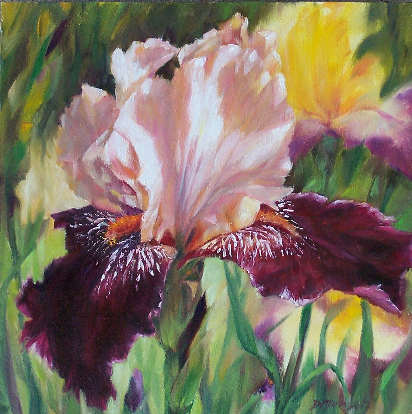 Donna Munsch Fine Art: Original Oil Painting Royal Iris