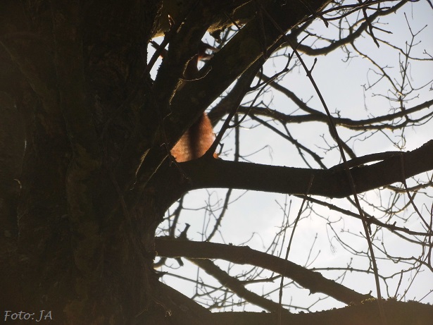 Nachwuchs Literatur Zentrum Ich Schreibe E V Wislawa Szymborska