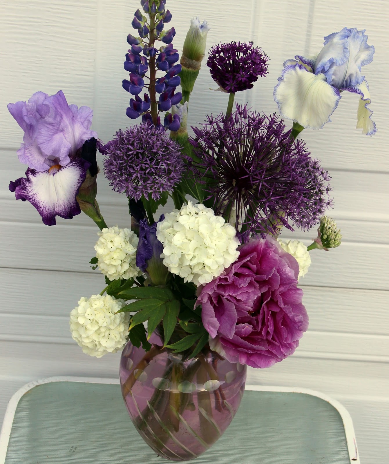 TALL BEARDED IRISES IN SHADES OF PURPLE Arrangements with purple