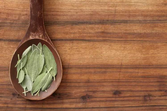 Everything We Need To Know About Sage Everything We Need To Know About Sage