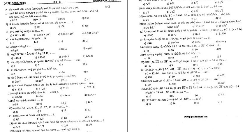 My favourite animal tiger essay in english picture