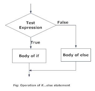 Decision Making in R Language ~ Computer Languages