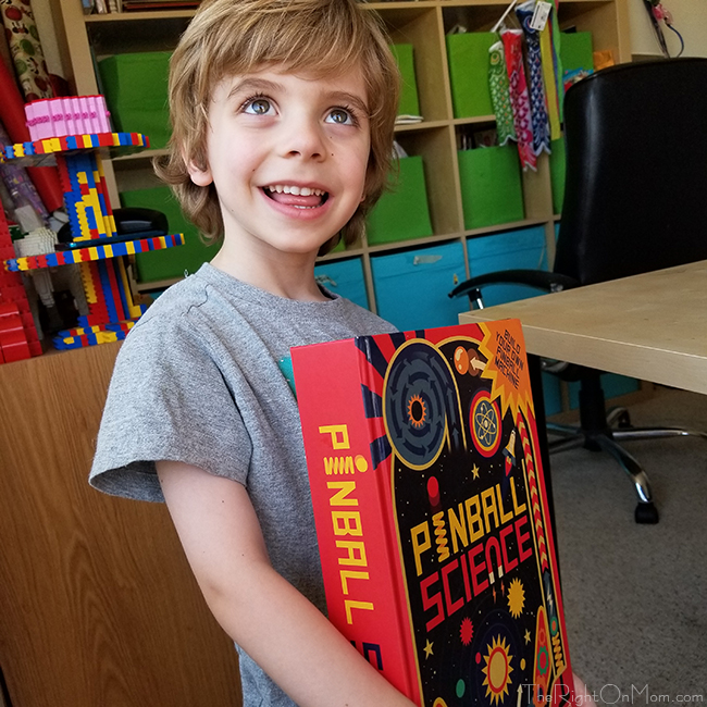 VEGAN Mom Blog Vegan Kids Food, Lifestyle, Animal Rights Pinball