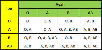 SISTEM PEREDARAN DARAH MANUSIA IPA SMP - Qassampedia.com