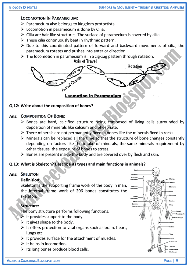 Adamjee Coaching: Support and Movement - Theory and Question Answers -  Biology Notes for Class 9th