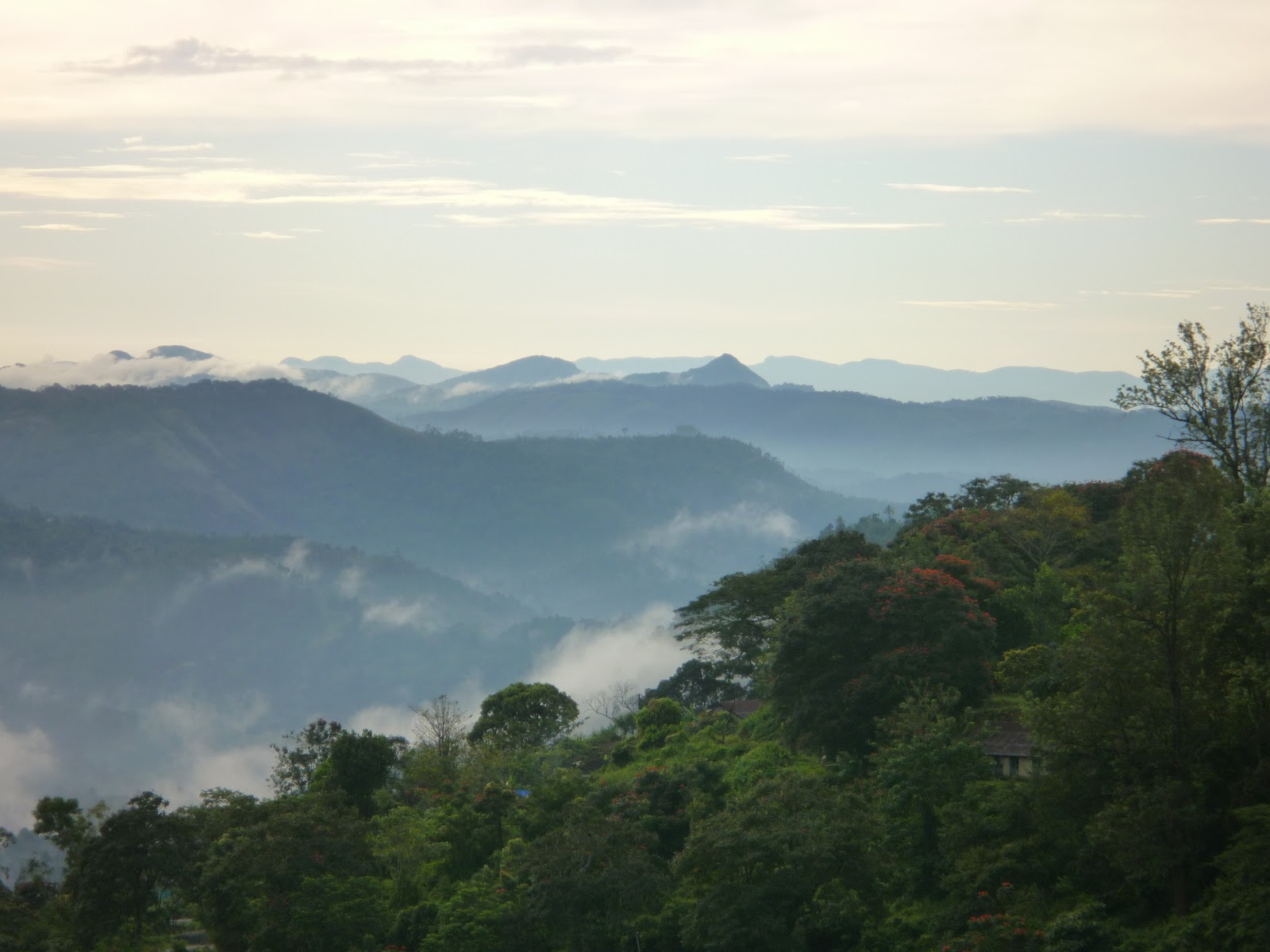 My Eyes on Kerala: Accomodation in Munnar - Review of Tea Castle