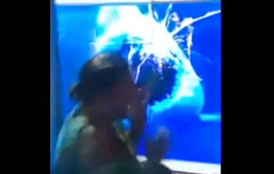 tiburón ataca a una mujer en un acuario virtual