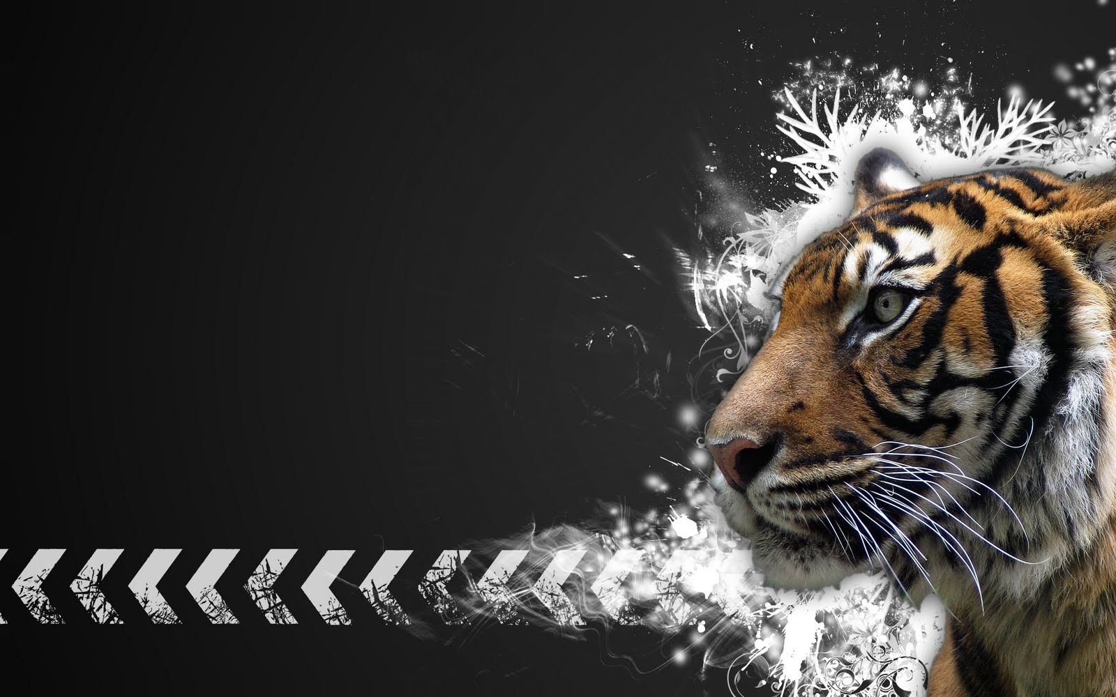 Wallpaper Hd Tiger