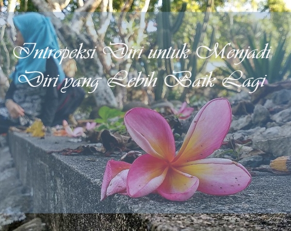 3 Hal Buat Kita Intropeksi Diri History Ranurri