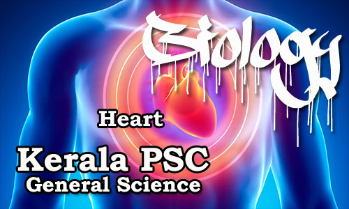 Kerala PSC - Biology - Human Body (Heart)