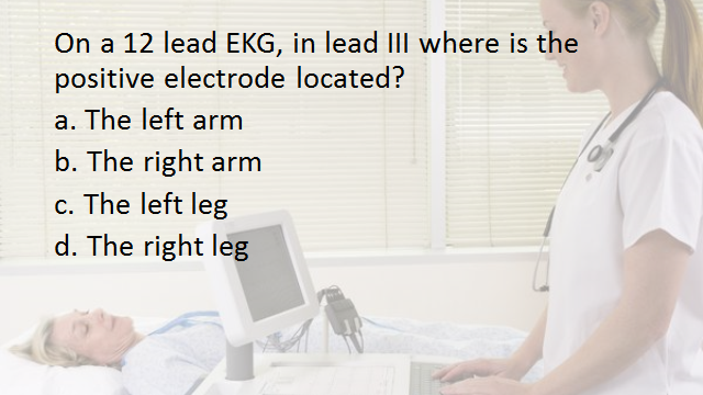 ekg practice questions Read and download practice questions answers on ecg interpretation free ebooks in pdf format - fetal pig dissection answers key pappersvaggar john ajvide lindqvist. ekg practice questions Read and download practice questions answers on ecg interpretation free ebooks in pdf format - fetal pig dissection answers key pappersvaggar john ajvide lindqvist.