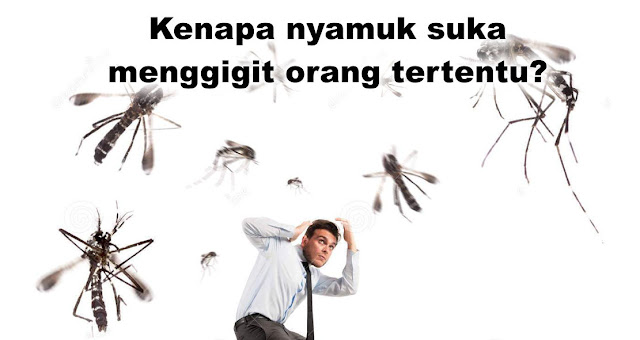 Kenapa nyamuk suka menggigit orang tertentu?