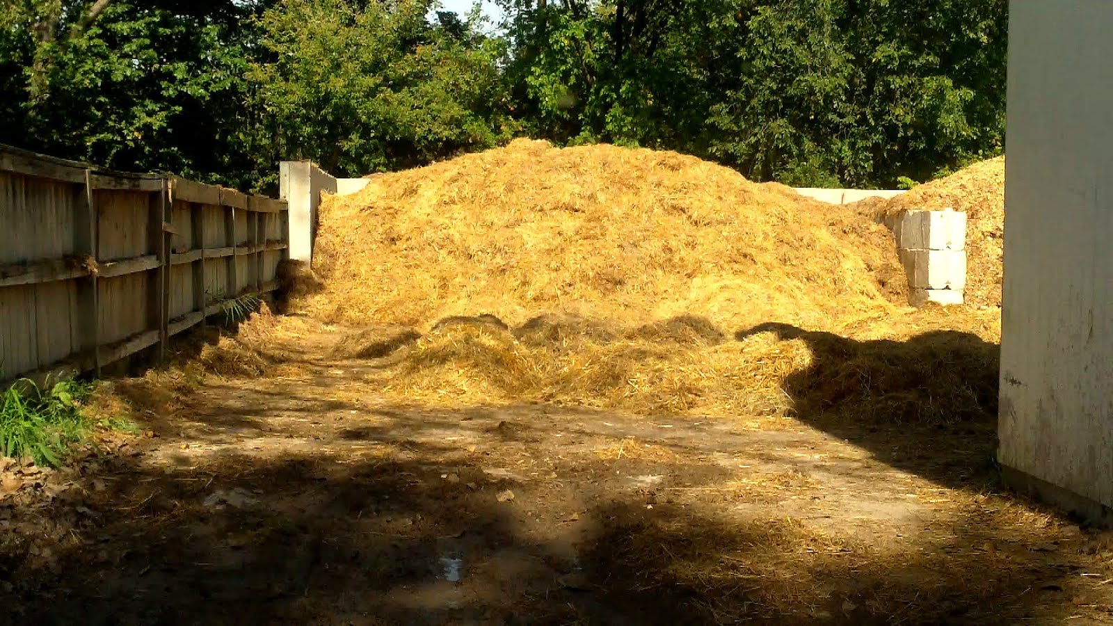 Horse Manure For Gardens Horse Choices