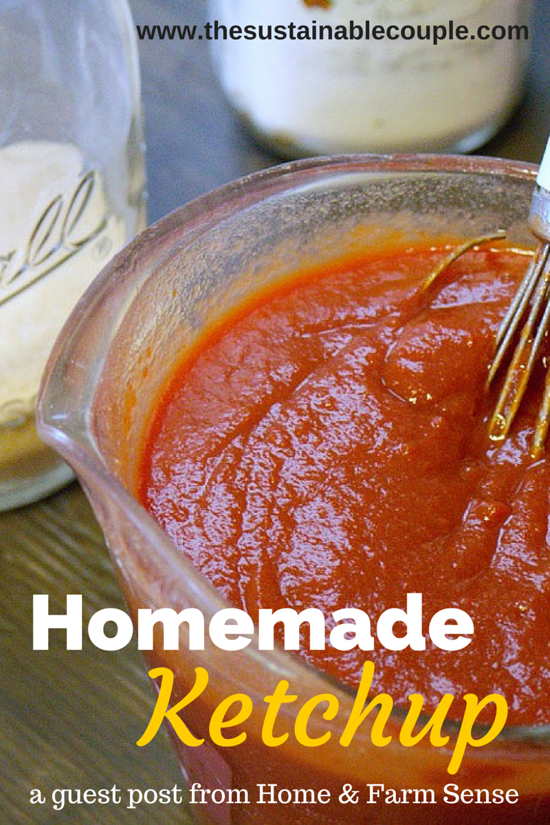 The Sustainable Couple Make Your Own Ketchup {without the