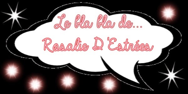 http://unpeudelecture.blogspot.fr/2014/02/linterview-de-rosalie-destrees.html