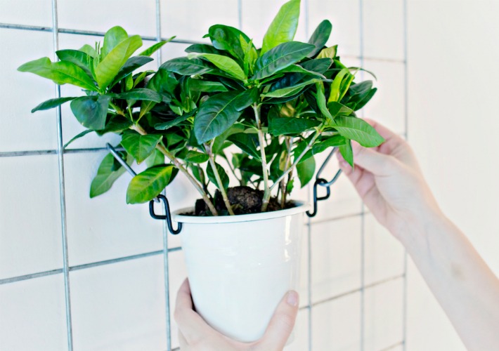 Diy jardin vertical para interior