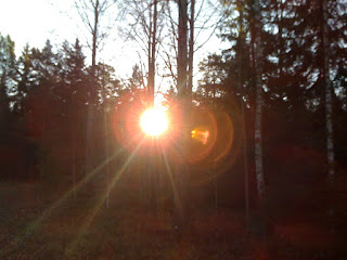 Promenad%2Bkallt%252C%2Bklart%252C%2Bljust%2Boch%2Bsk%25C3%25B6nt%2B%25281%2529 - Kallt, klart, ljust och skönt